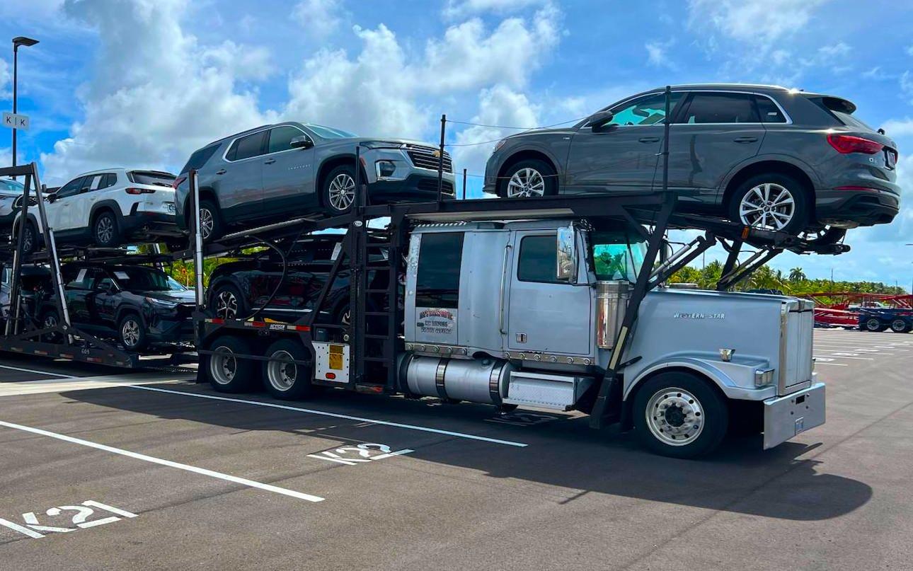 Professional car carrier truck loaded with vehicles - Iggy's Transport fleet